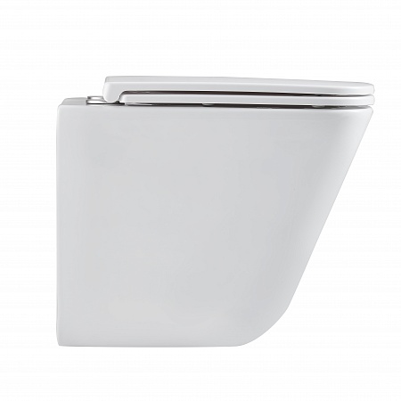 Подвесной унитаз безободковый Terminus Ватикан Монолит 490х340 белый Абакан - фото 4 Подвесной унитаз безободковый Terminus Ватикан Монолит 490х340 белый Абакан - фото 4