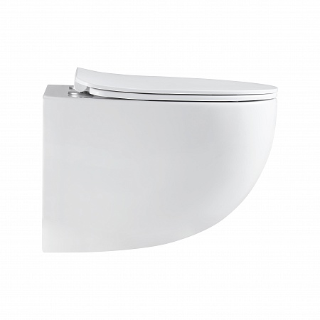 Подвесной унитаз безободковый Terminus Енисей Монолит 560х390 белый Абакан - фото 4 Подвесной унитаз безободковый Terminus Енисей Монолит 560х390 белый Абакан - фото 4