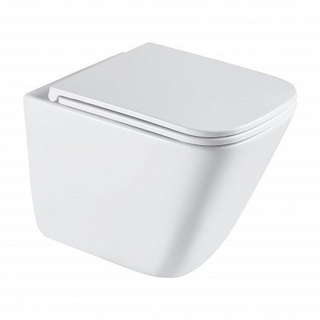 Подвесной унитаз безободковый Terminus Ватикан Монолит 490х340 белый Абакан - фото 2 Подвесной унитаз безободковый Terminus Ватикан Монолит 490х340 белый Абакан - фото 2