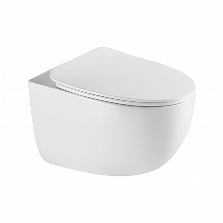 Подвесной унитаз безободковый Terminus Енисей Монолит 560х390 белый Абакан - фото 2 Подвесной унитаз безободковый Terminus Енисей Монолит 560х390 белый Абакан - фото 2