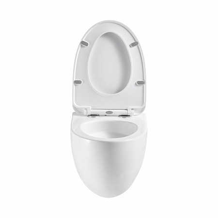 Подвесной унитаз безободковый Terminus Енисей Монолит 560х390 белый Абакан - фото 5 Подвесной унитаз безободковый Terminus Енисей Монолит 560х390 белый Абакан - фото 5