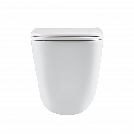 Подвесной унитаз безободковый Terminus Ватикан Монолит 490х340 белый Абакан - фото 6 Подвесной унитаз безободковый Terminus Ватикан Монолит 490х340 белый Абакан - фото 6