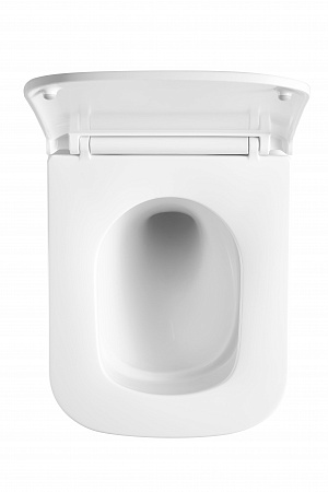 Подвесной унитаз безободковый Terminus Ватикан Монолит 490х340 белый Абакан - фото 3 Подвесной унитаз безободковый Terminus Ватикан Монолит 490х340 белый Абакан - фото 3